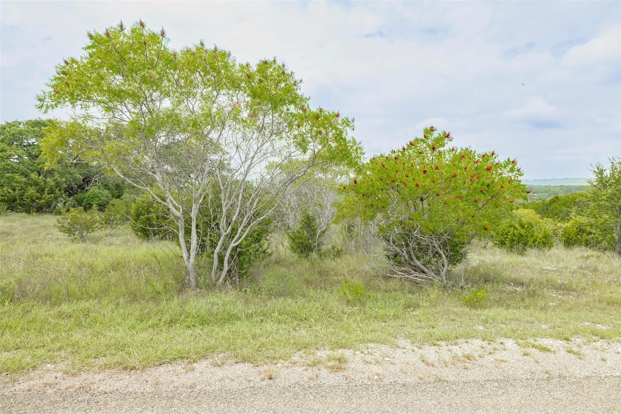 120 Grey Fox Ln, Bertram, TX 78605