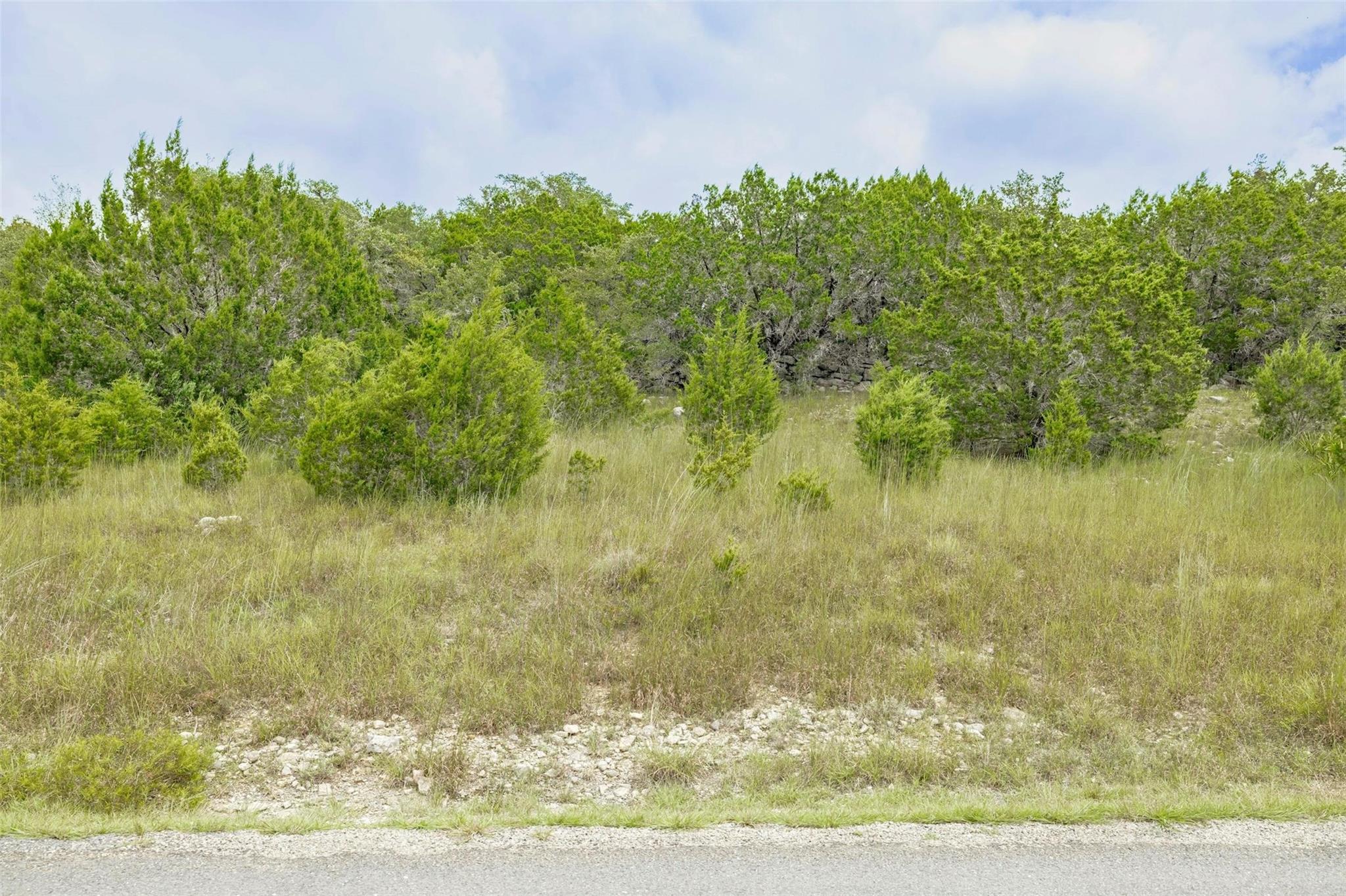 120 Grey Fox Ln, Bertram, TX 78605