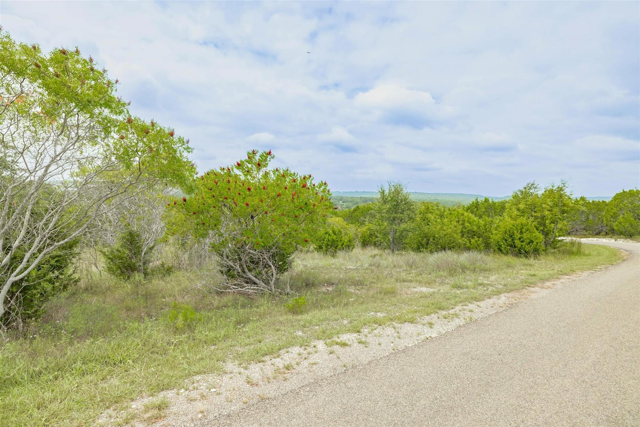 120 Grey Fox Ln, Bertram, TX 78605