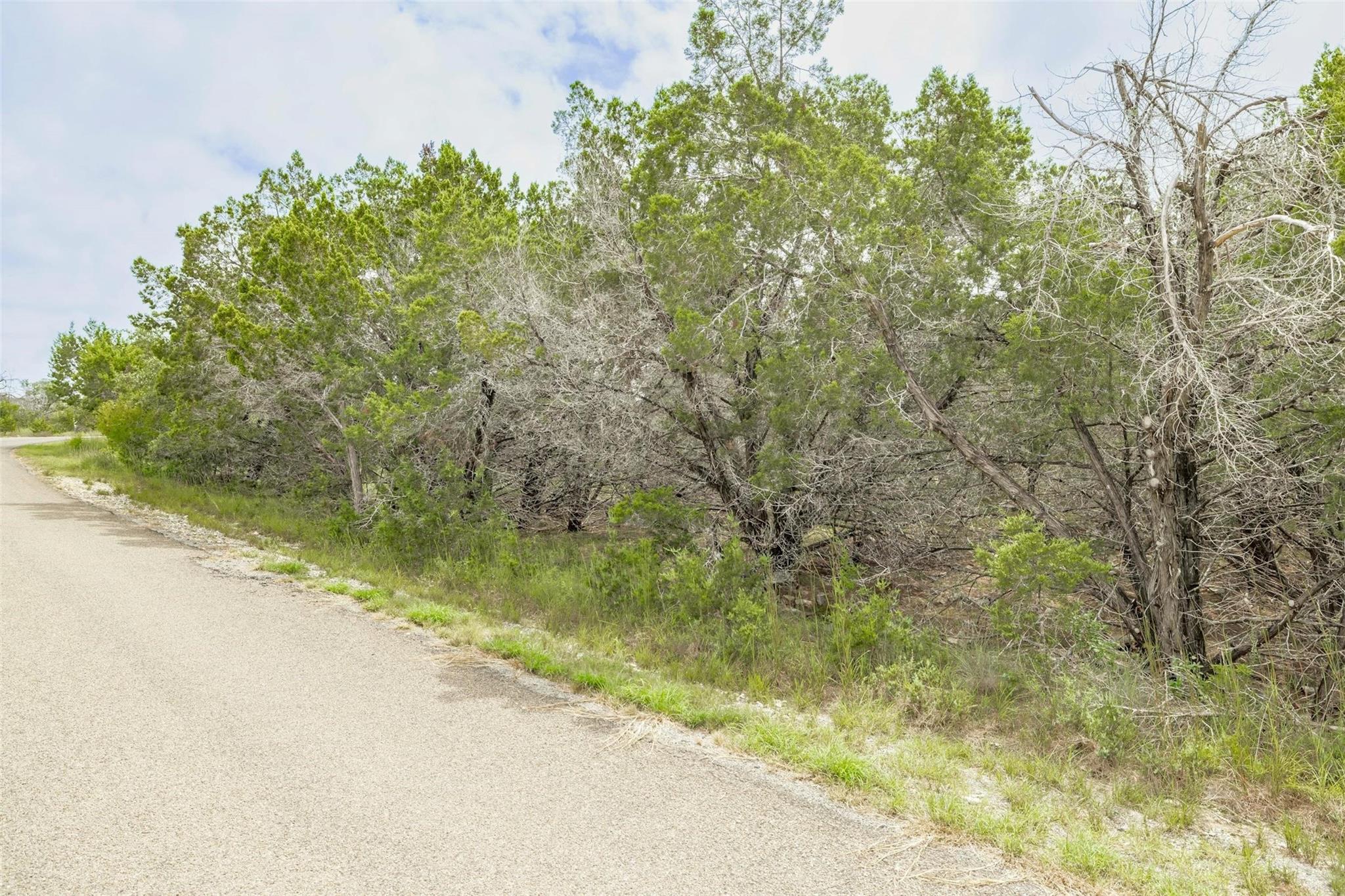 120 Grey Fox Ln, Bertram, TX 78605