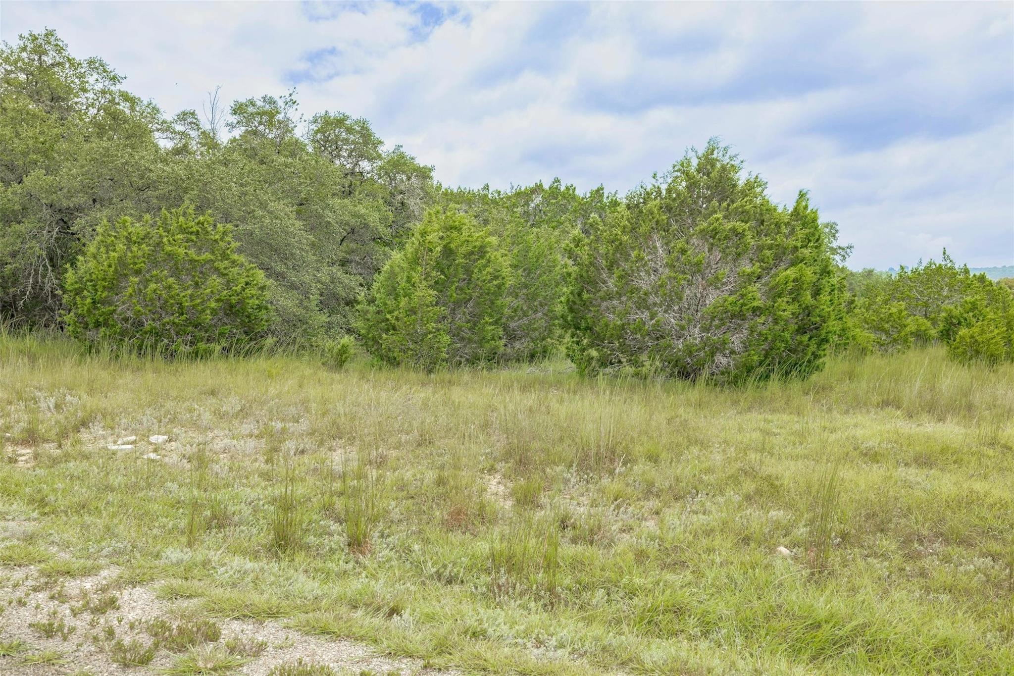 120 Grey Fox Ln, Bertram, TX 78605