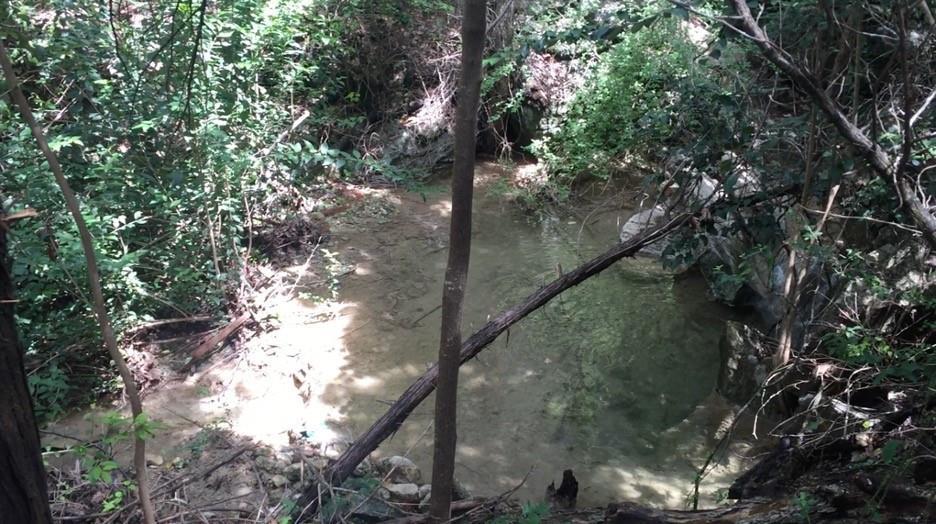 1809 Barney Dr, Austin, TX 78734