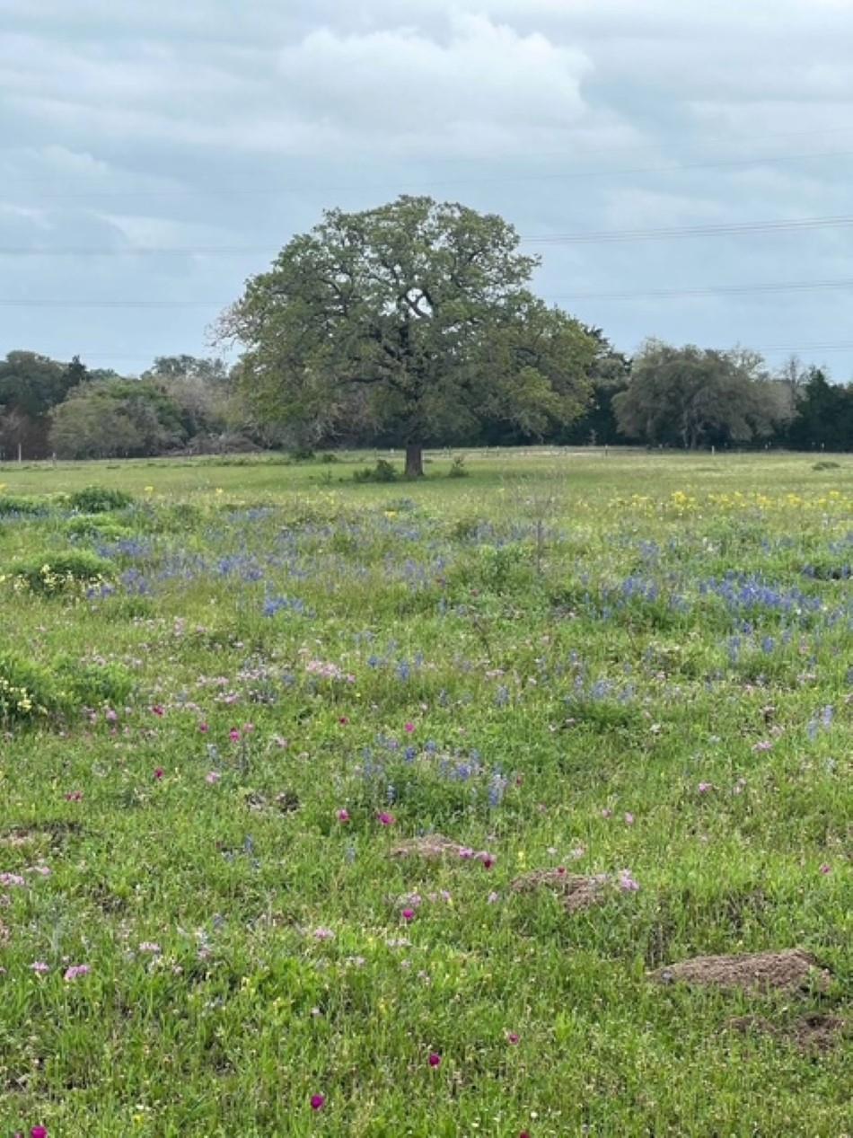 265 Boulton Creek Rd, Flatonia, TX 78941