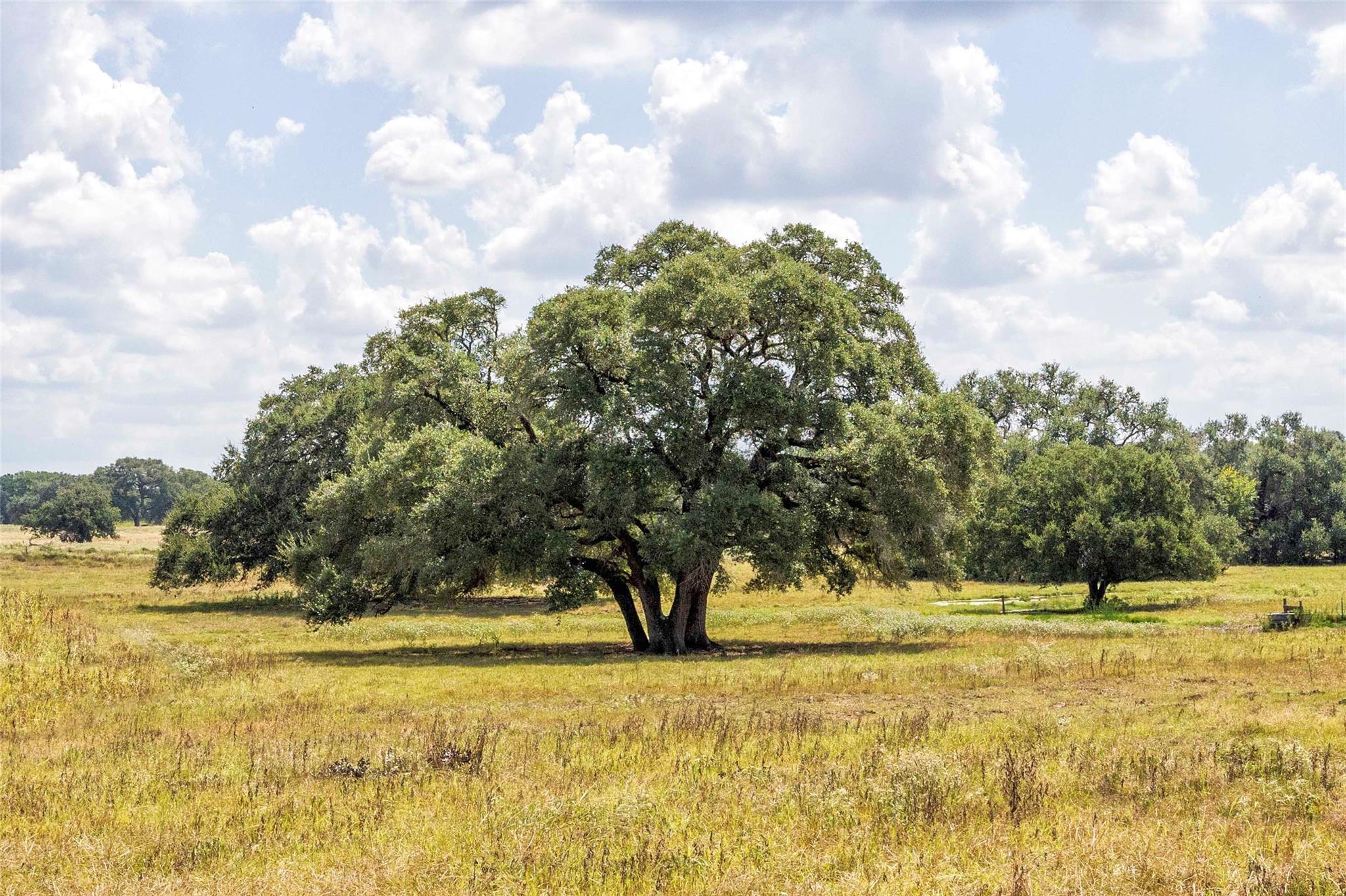 265 Boulton Creek Rd, Flatonia, TX 78941