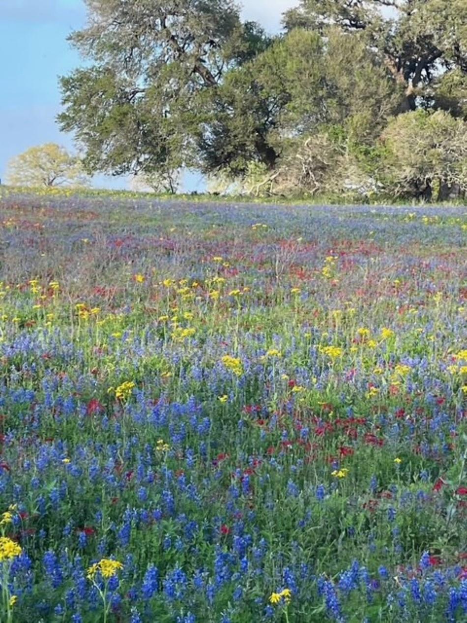 265 Boulton Creek Rd, Flatonia, TX 78941