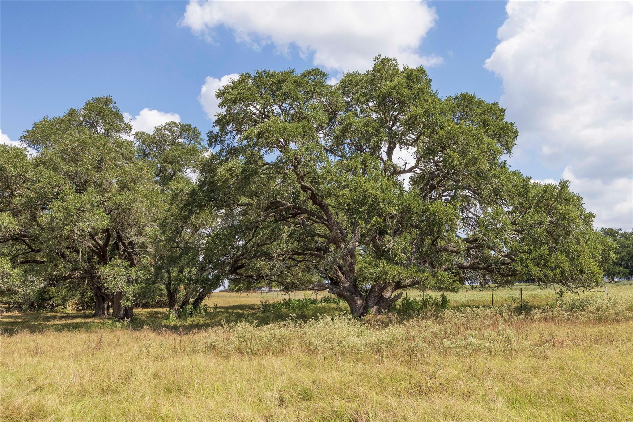 265 Boulton Creek Rd, Flatonia, TX 78941