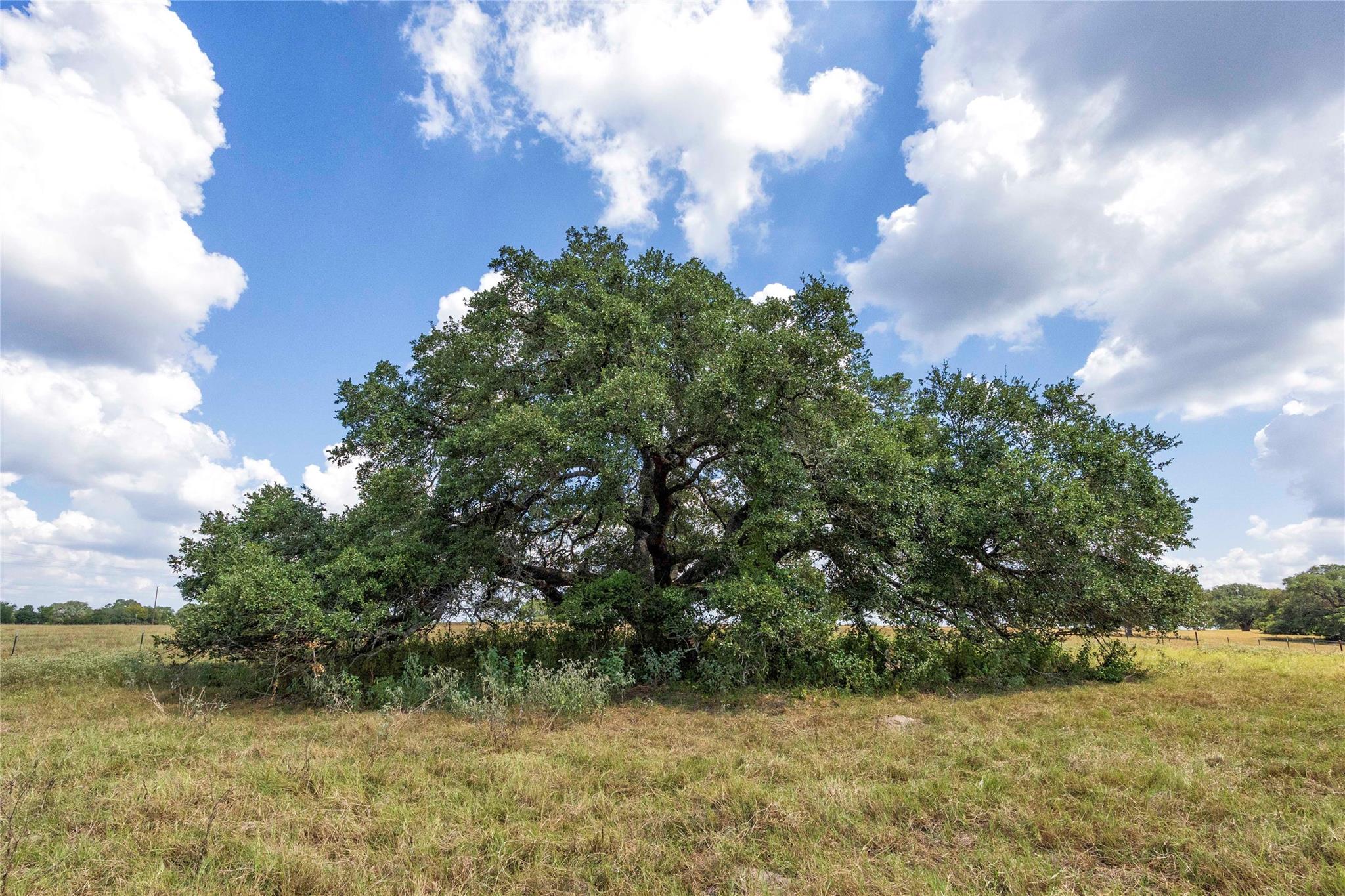 265 Boulton Creek Rd, Flatonia, TX 78941