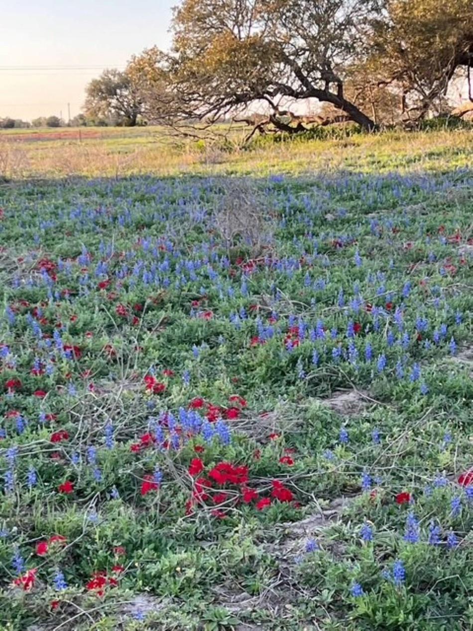 265 Boulton Creek Rd, Flatonia, TX 78941