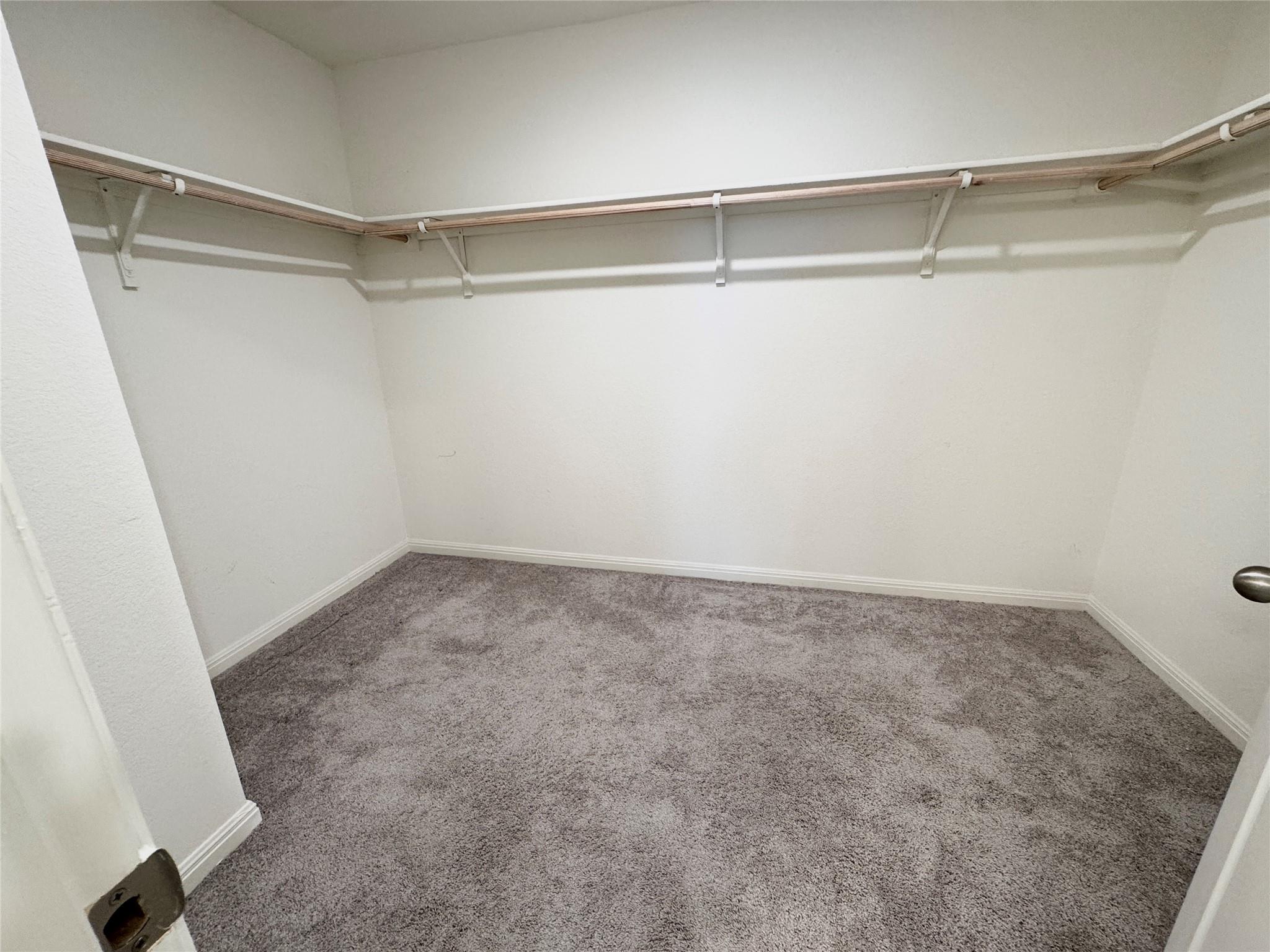 102 Gemsbok Dr, Hutto, TX 78634