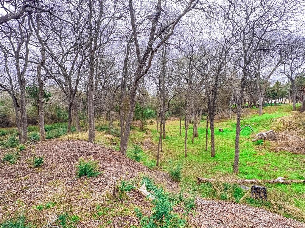 115 Deep Woods Ct, Cedar Creek, TX 78612