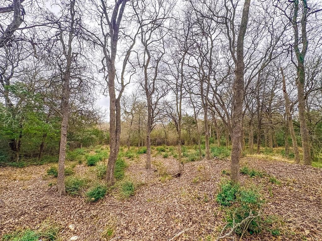 115 Deep Woods Ct, Cedar Creek, TX 78612