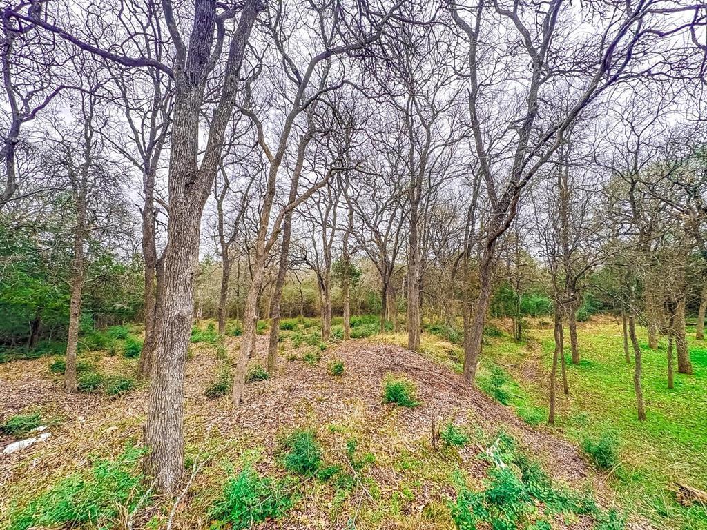 115 Deep Woods Ct, Cedar Creek, TX 78612