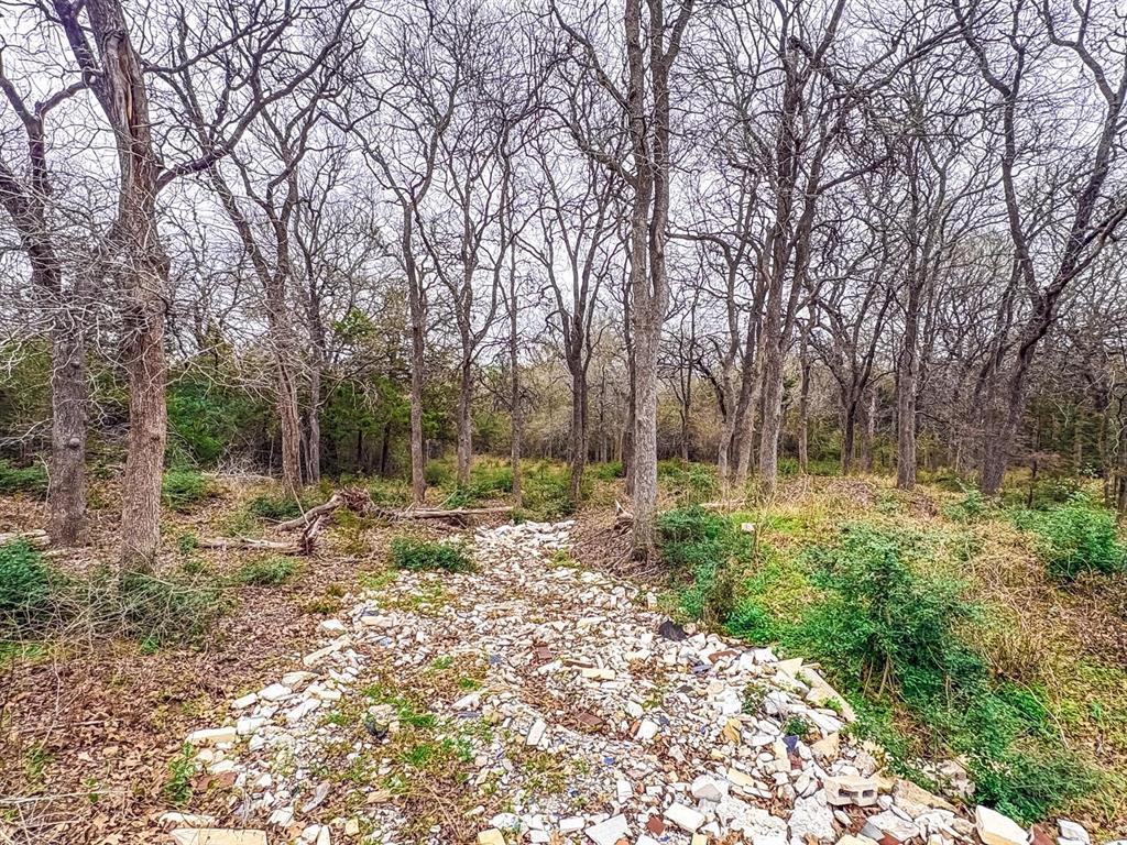 115 Deep Woods Ct, Cedar Creek, TX 78612