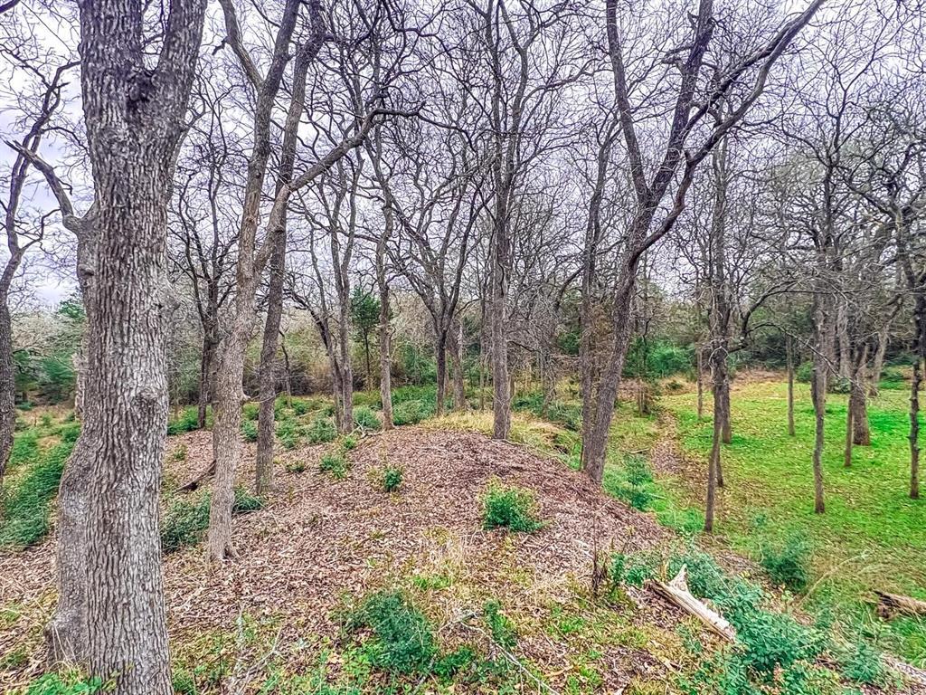 115 Deep Woods Ct, Cedar Creek, TX 78612