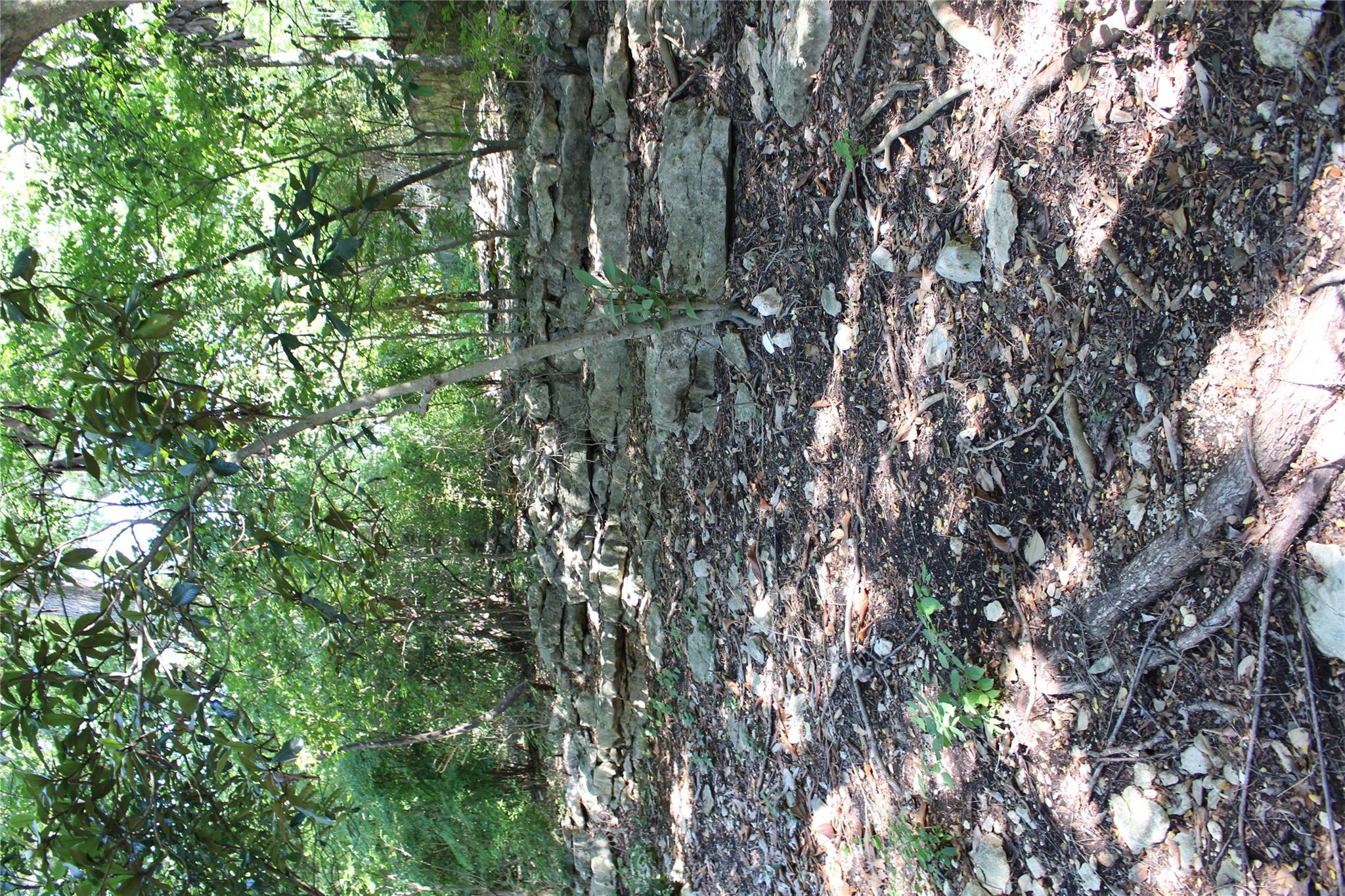 2309 Shoal Creek Blvd, Austin, TX 78705