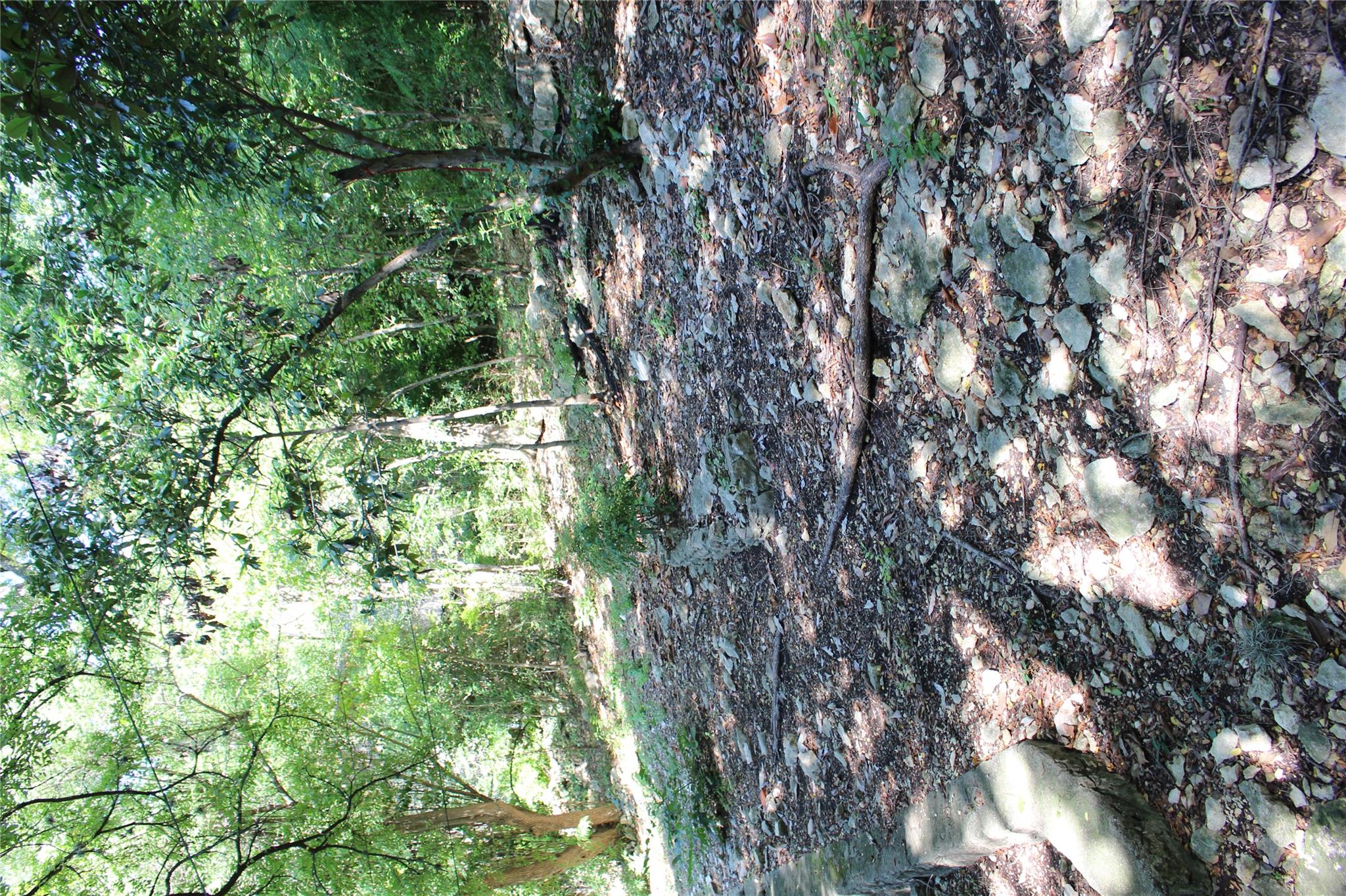 2309 Shoal Creek Blvd, Austin, TX 78705