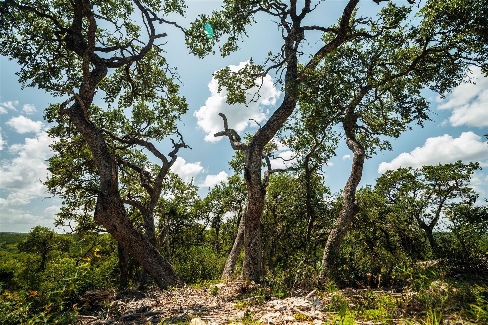 TBD Ranch to Market 3237, Wimberley, TX 78676