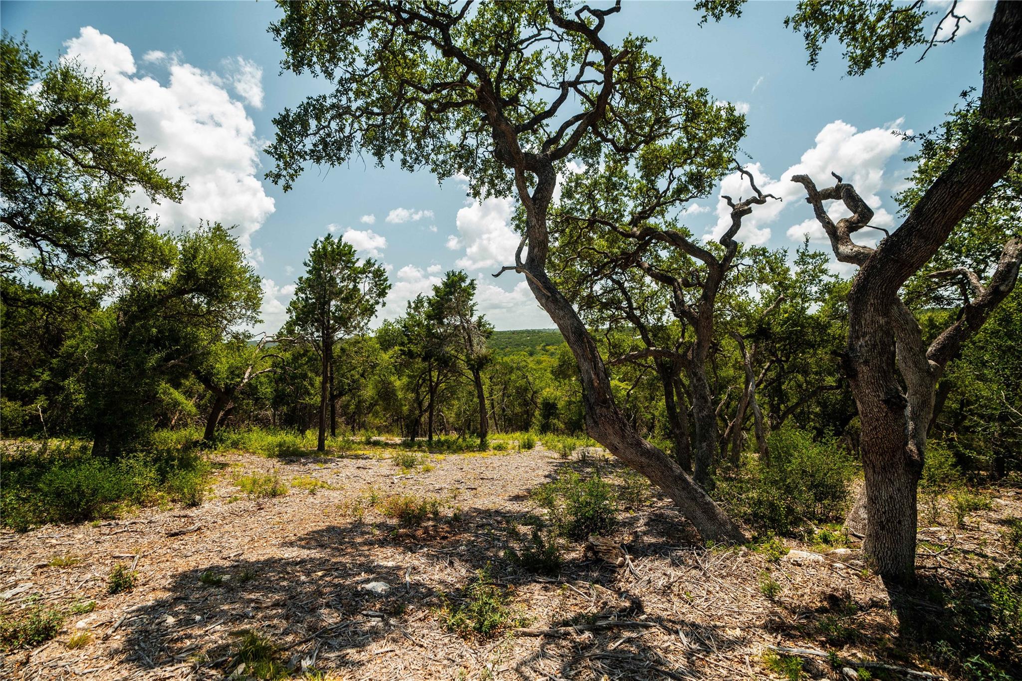TBD Ranch to Market 3237, Wimberley, TX 78676