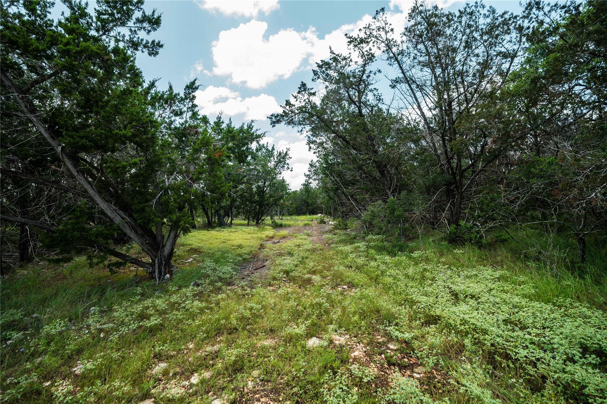 TBD Ranch to Market 3237, Wimberley, TX 78676