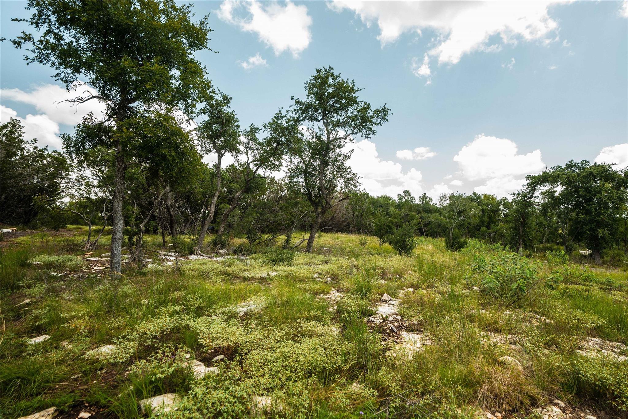 TBD Ranch to Market 3237, Wimberley, TX 78676