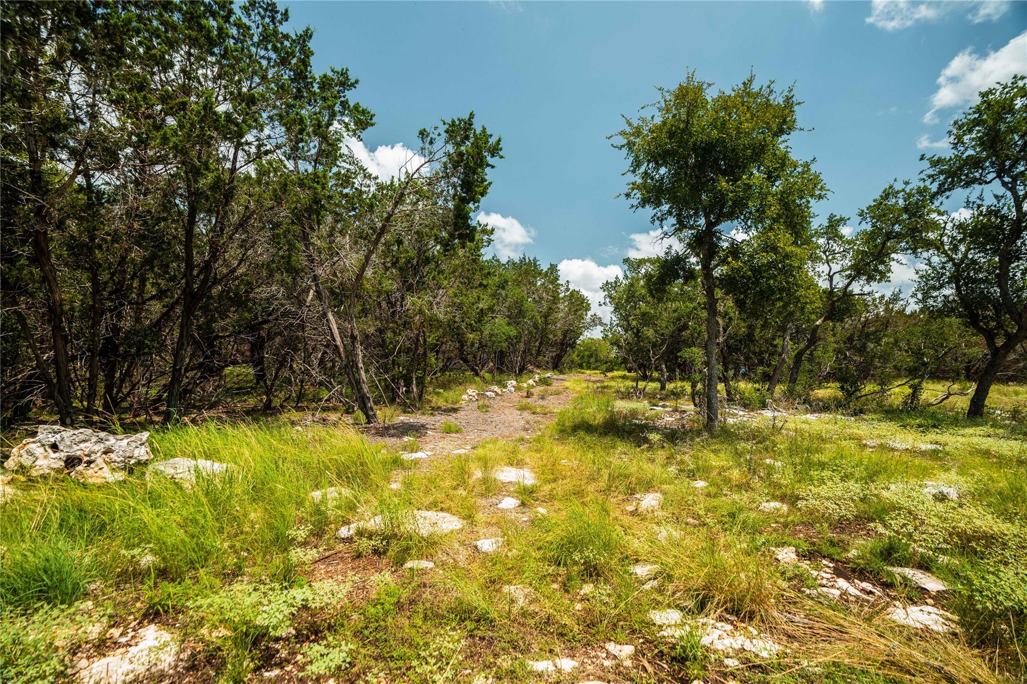 TBD Ranch to Market 3237, Wimberley, TX 78676