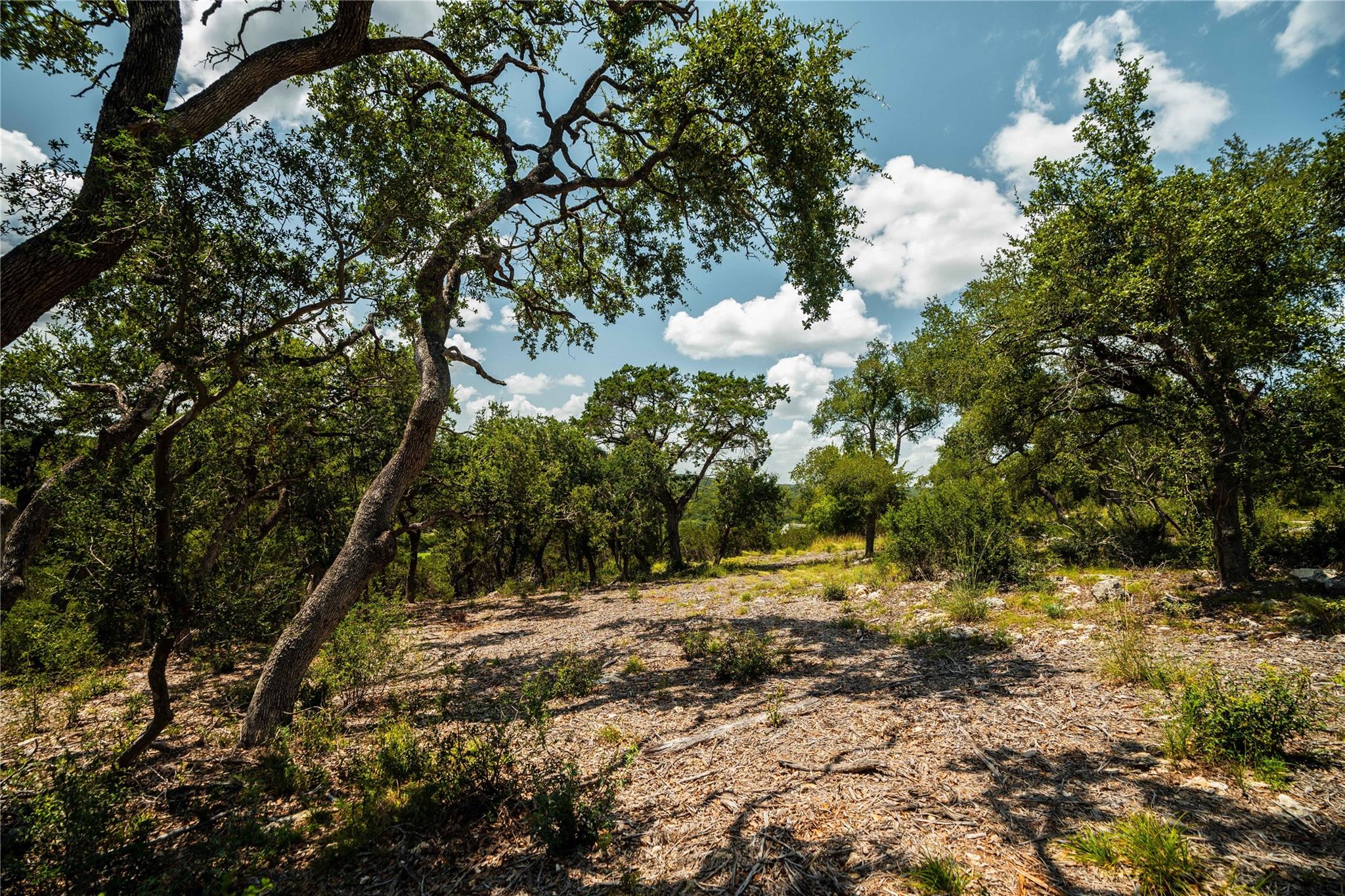 TBD Ranch to Market 3237, Wimberley, TX 78676