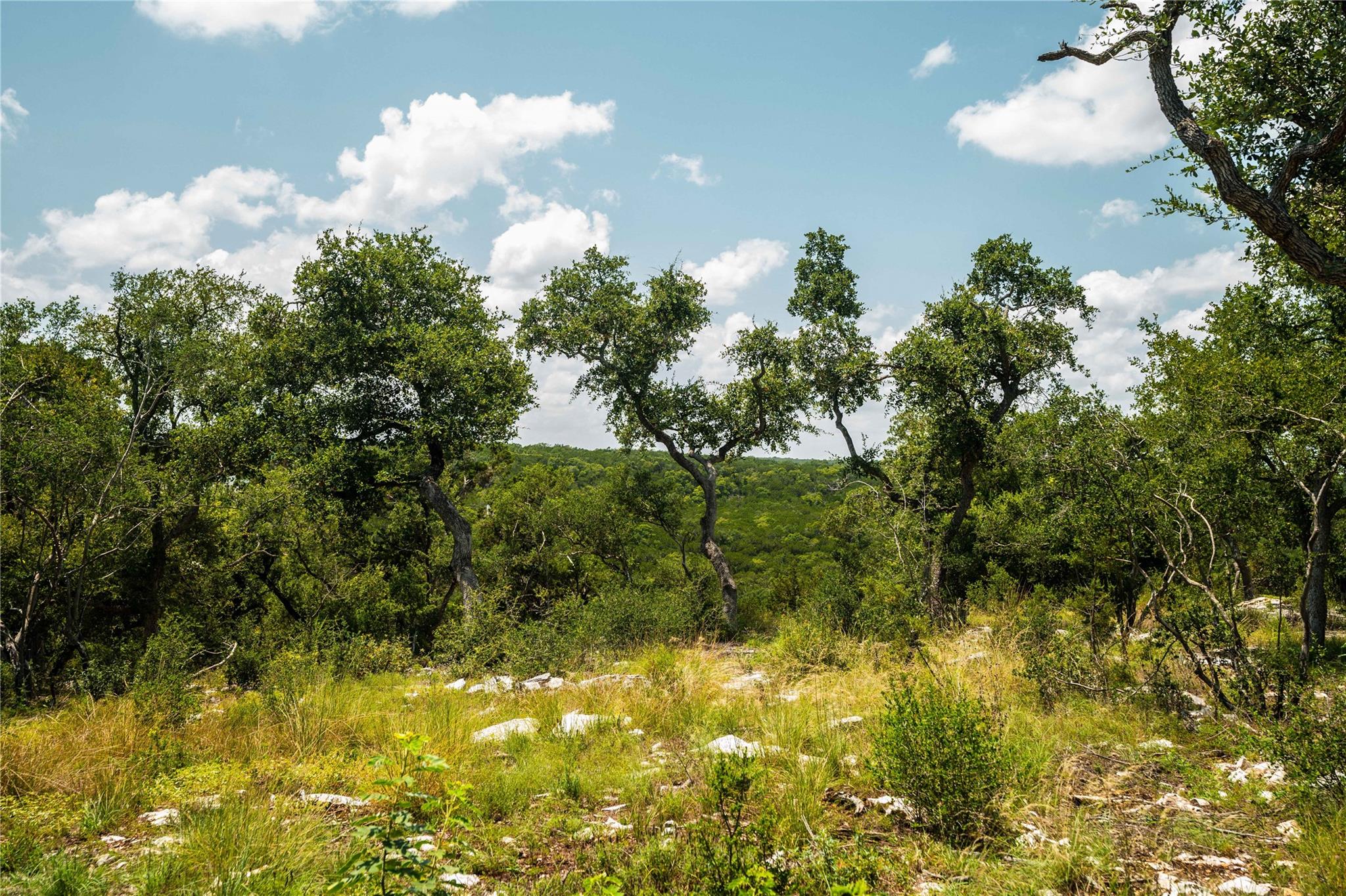 TBD Ranch to Market 3237, Wimberley, TX 78676