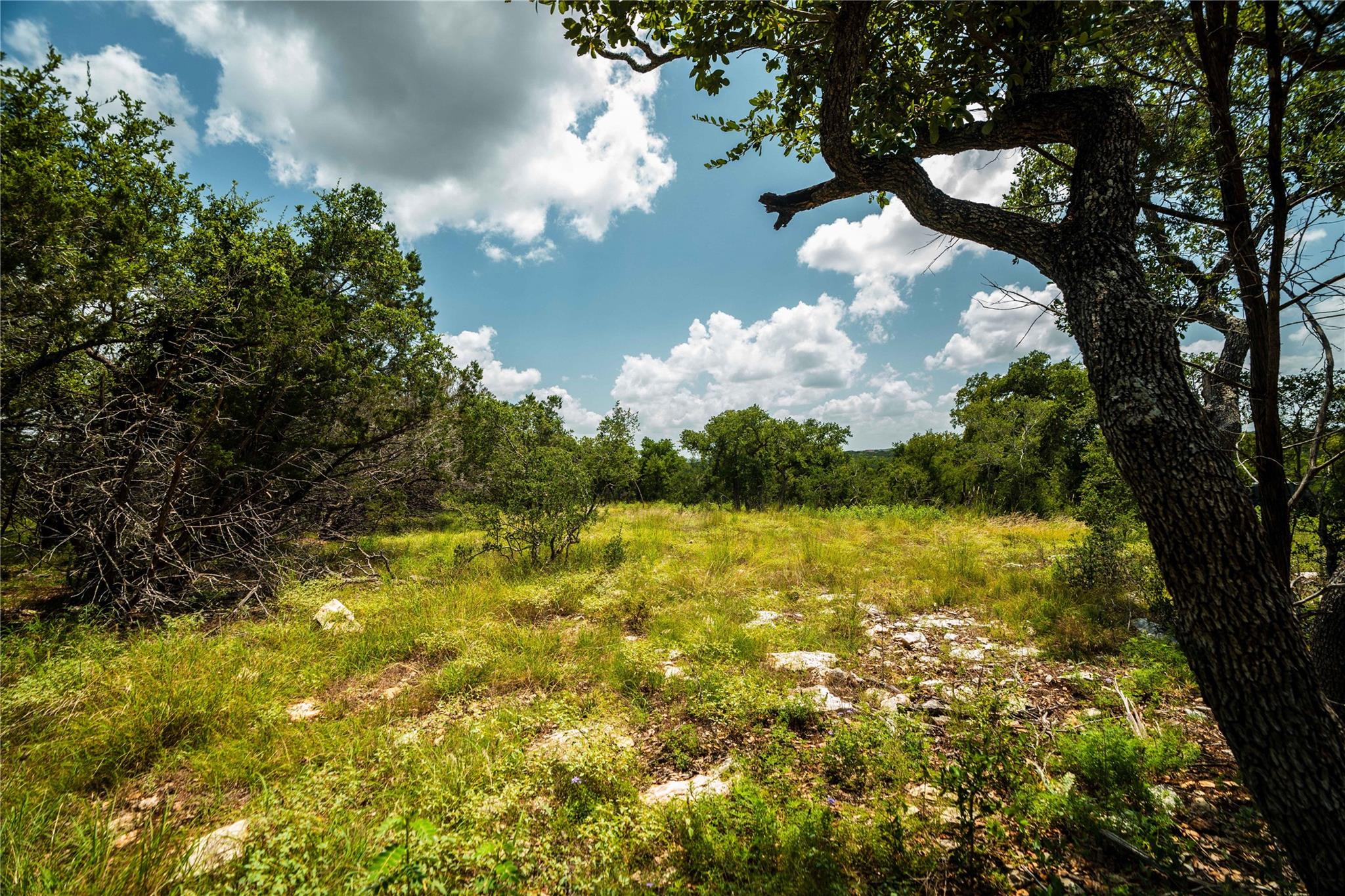 TBD Ranch to Market 3237, Wimberley, TX 78676
