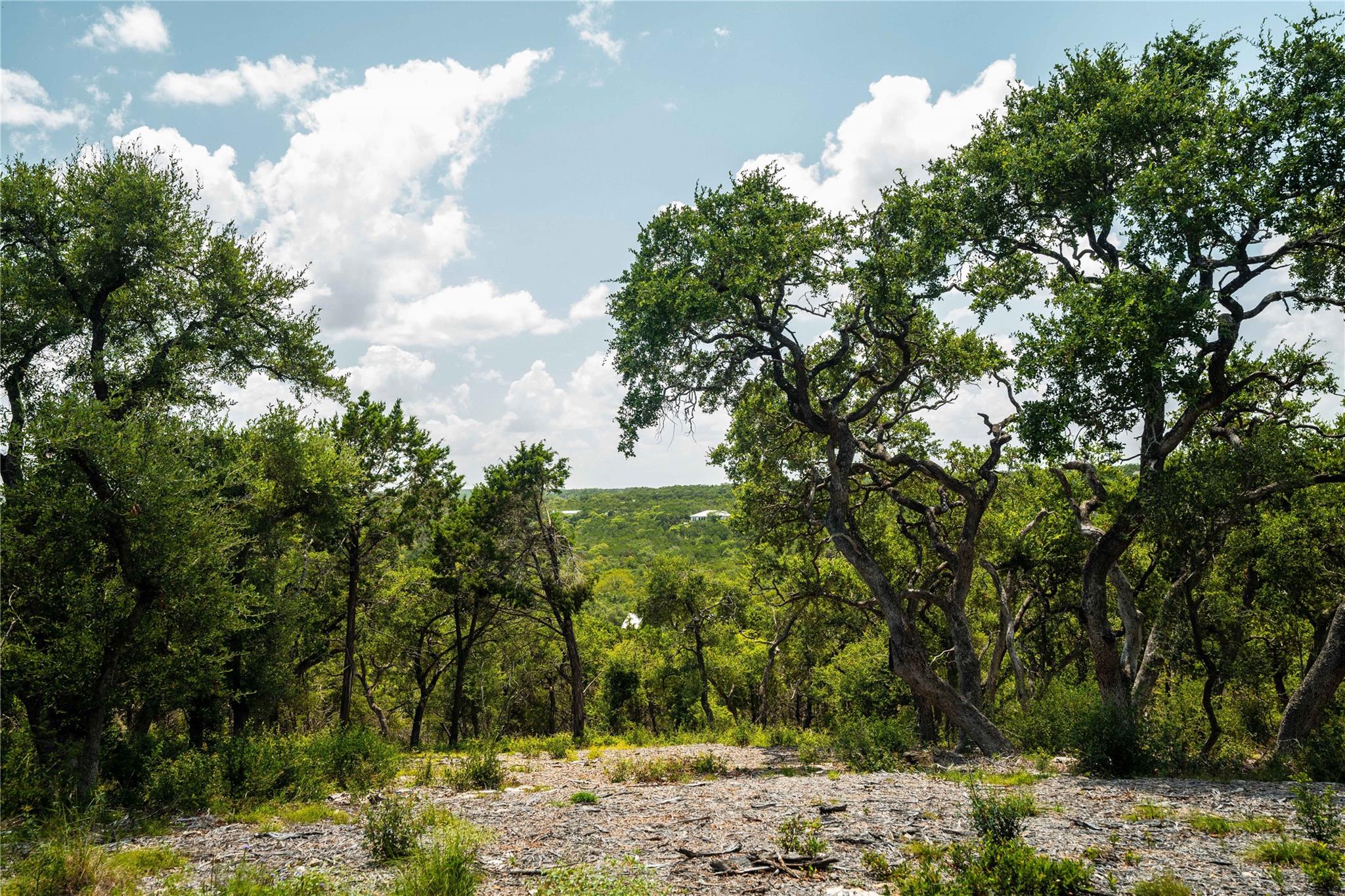 TBD Ranch to Market 3237, Wimberley, TX 78676