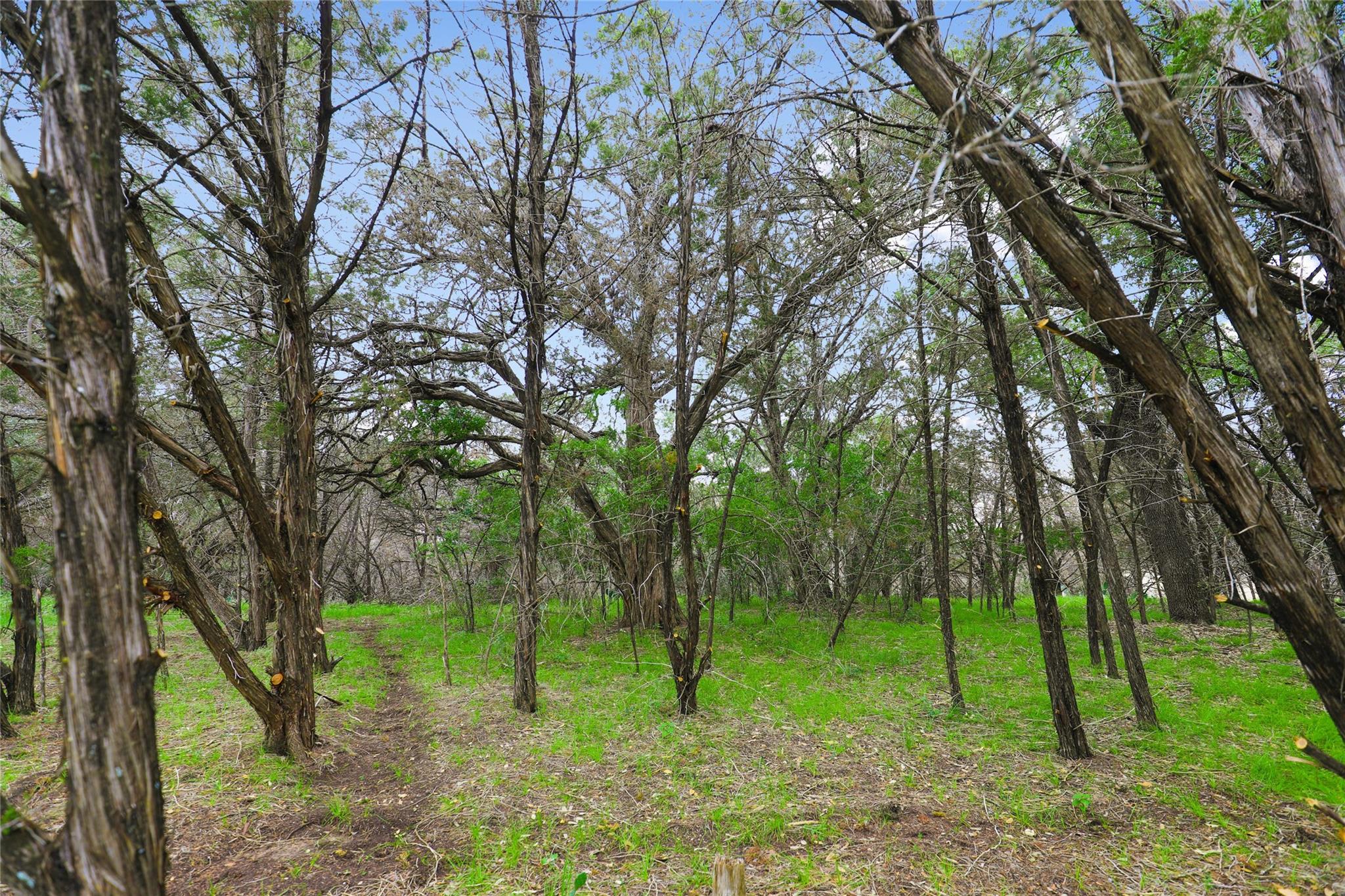 1702 Dove Rd, Lago Vista, TX 78645