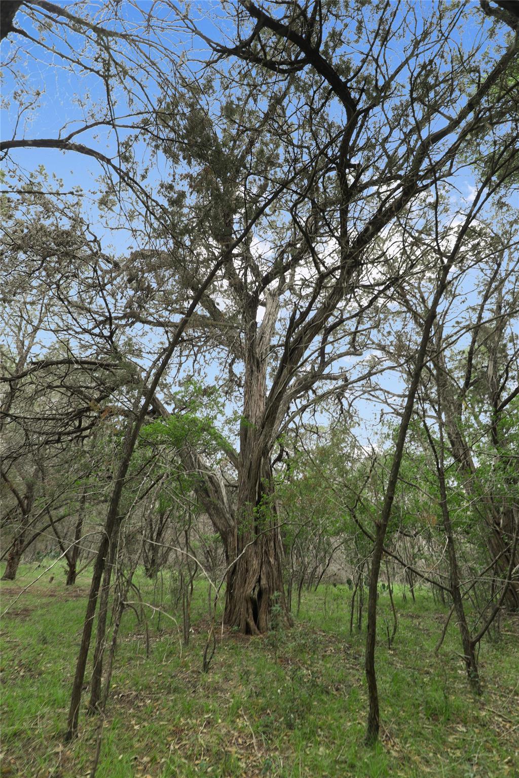 1702 Dove Rd, Lago Vista, TX 78645