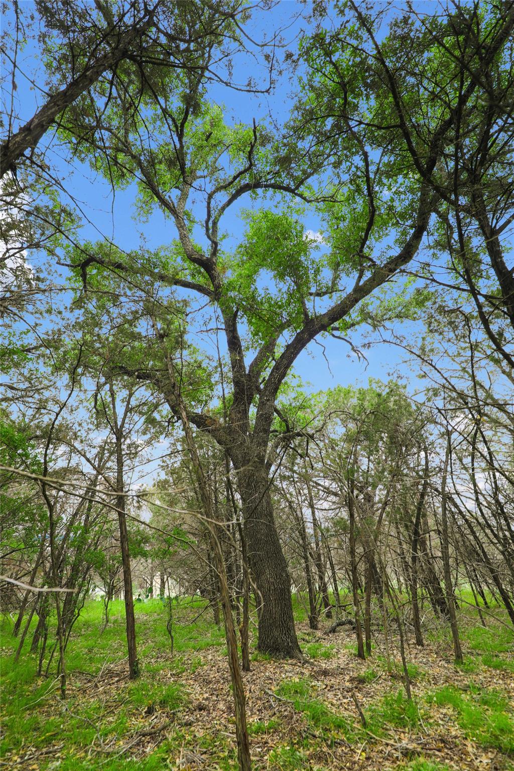 1702 Dove Rd, Lago Vista, TX 78645