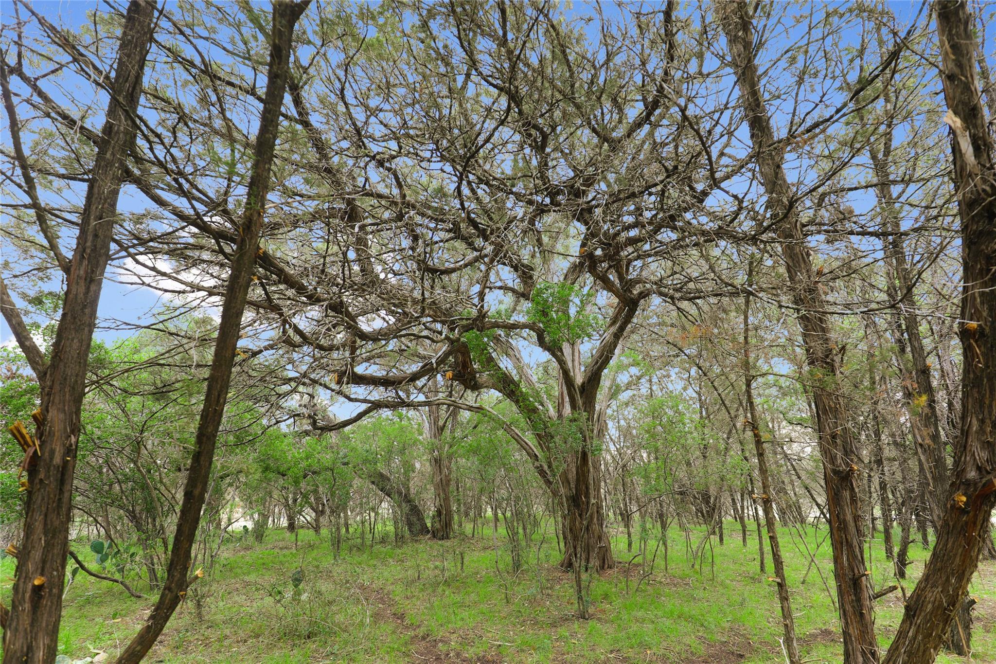 1702 Dove Rd, Lago Vista, TX 78645