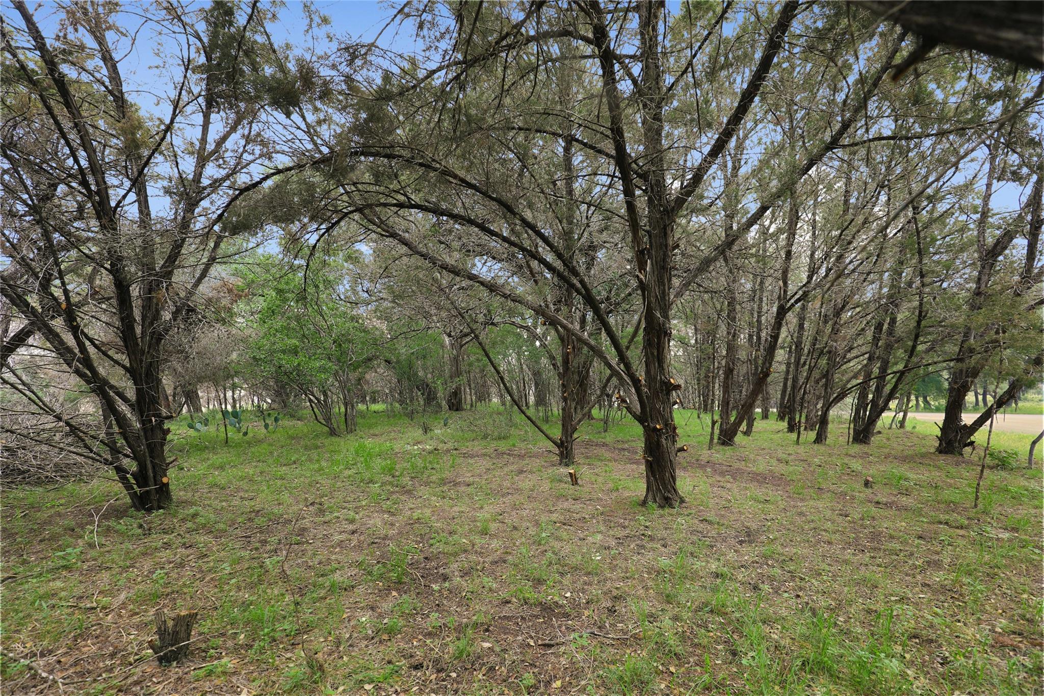 1702 Dove Rd, Lago Vista, TX 78645