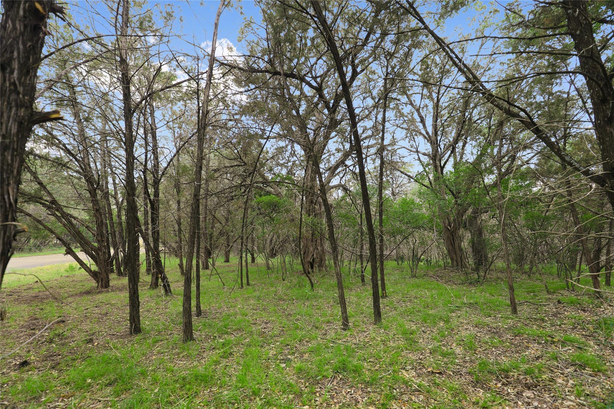 1702 Dove Rd, Lago Vista, TX 78645