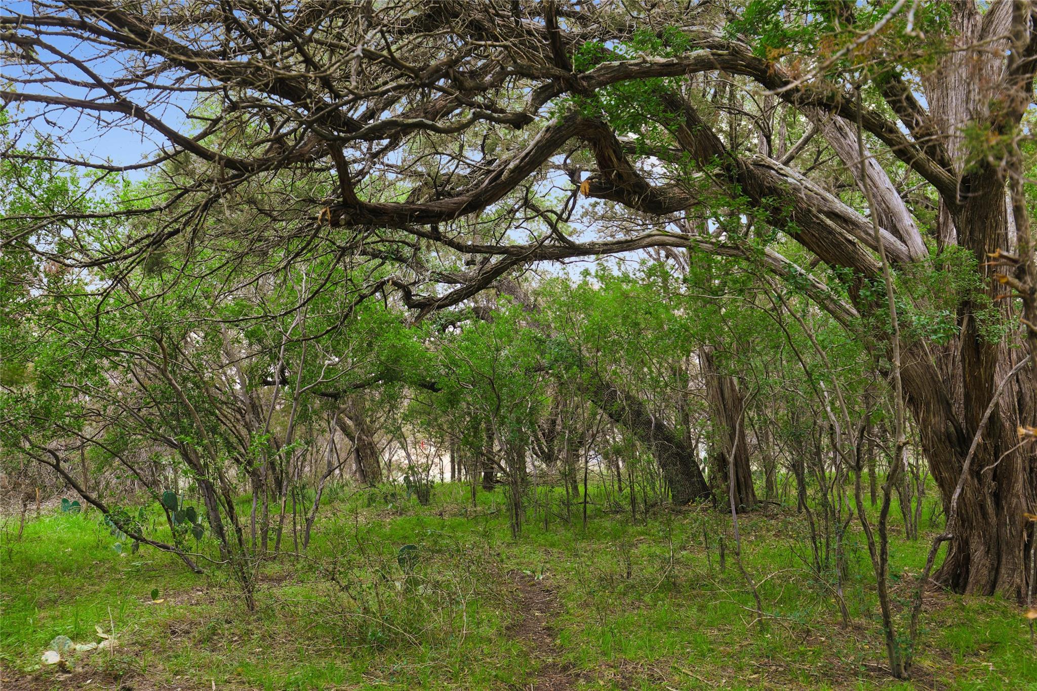 1702 Dove Rd, Lago Vista, TX 78645