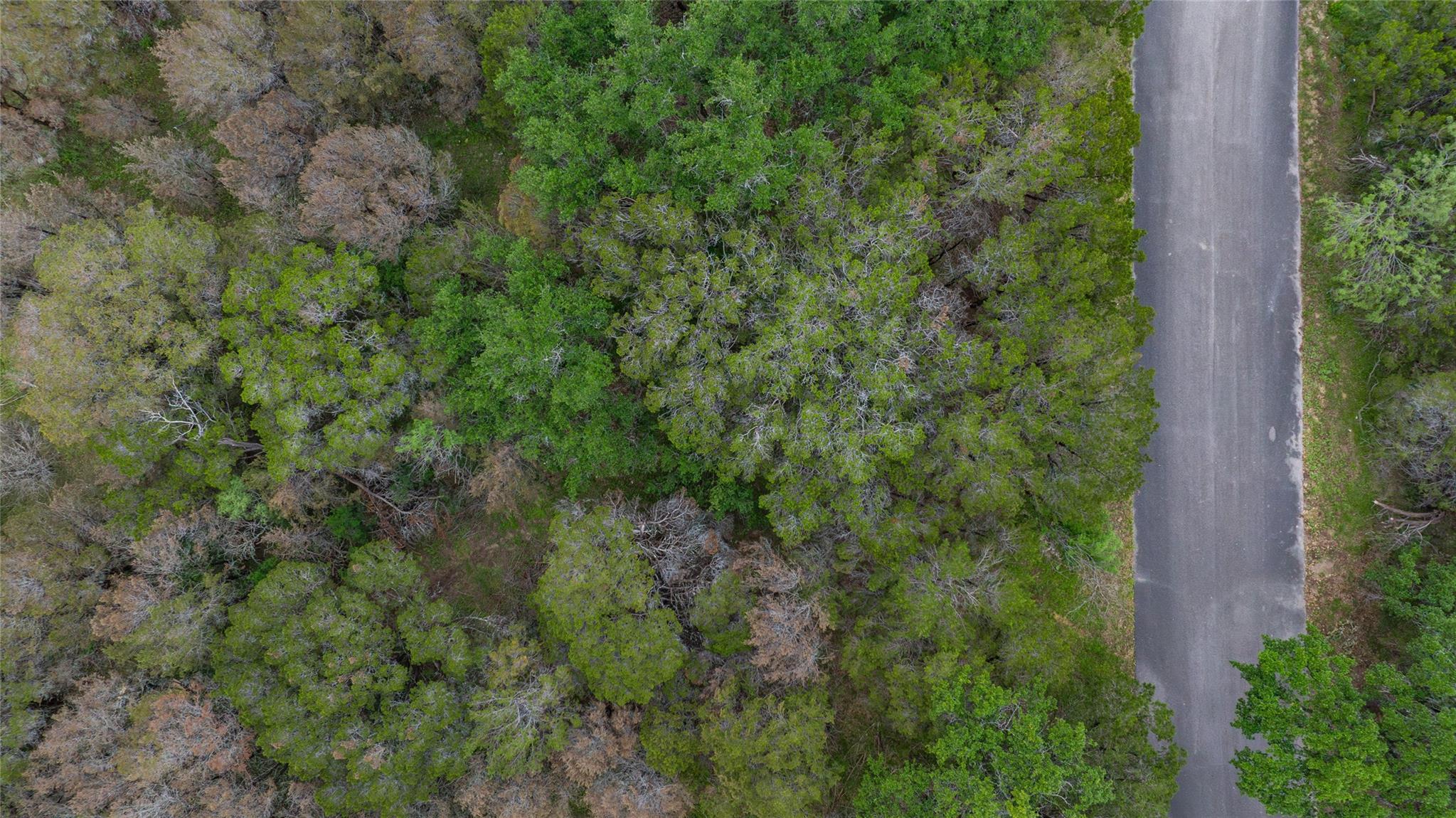 1702 Dove Rd, Lago Vista, TX 78645