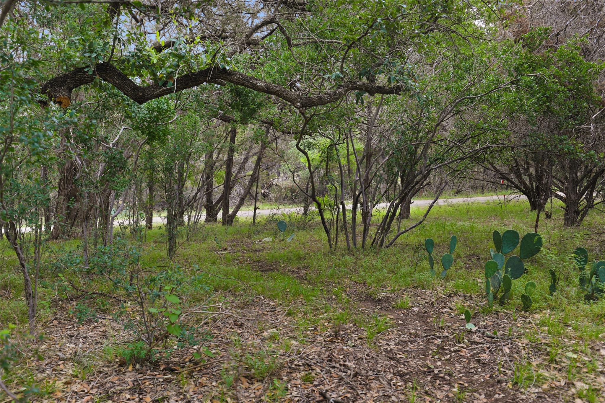 1702 Dove Rd, Lago Vista, TX 78645