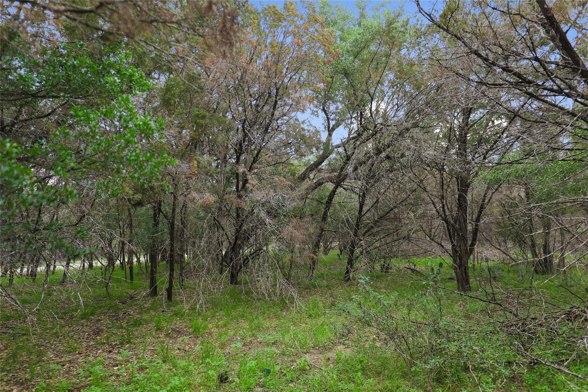 1702 Dove Rd, Lago Vista, TX 78645