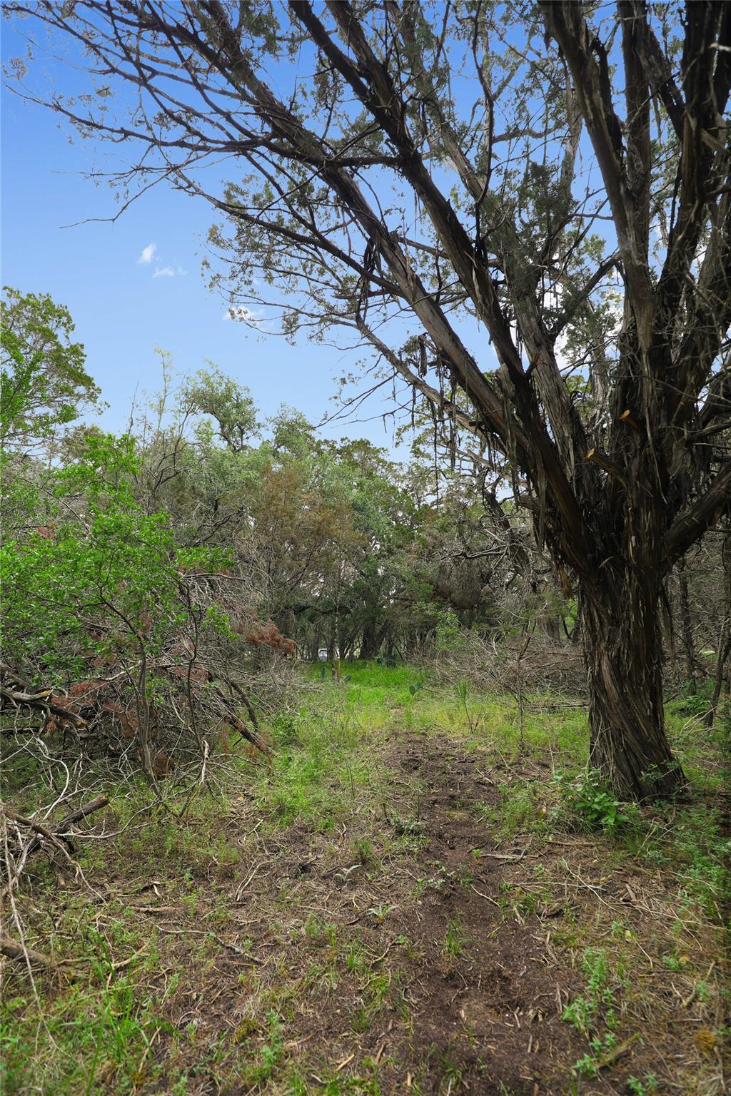 1702 Dove Rd, Lago Vista, TX 78645