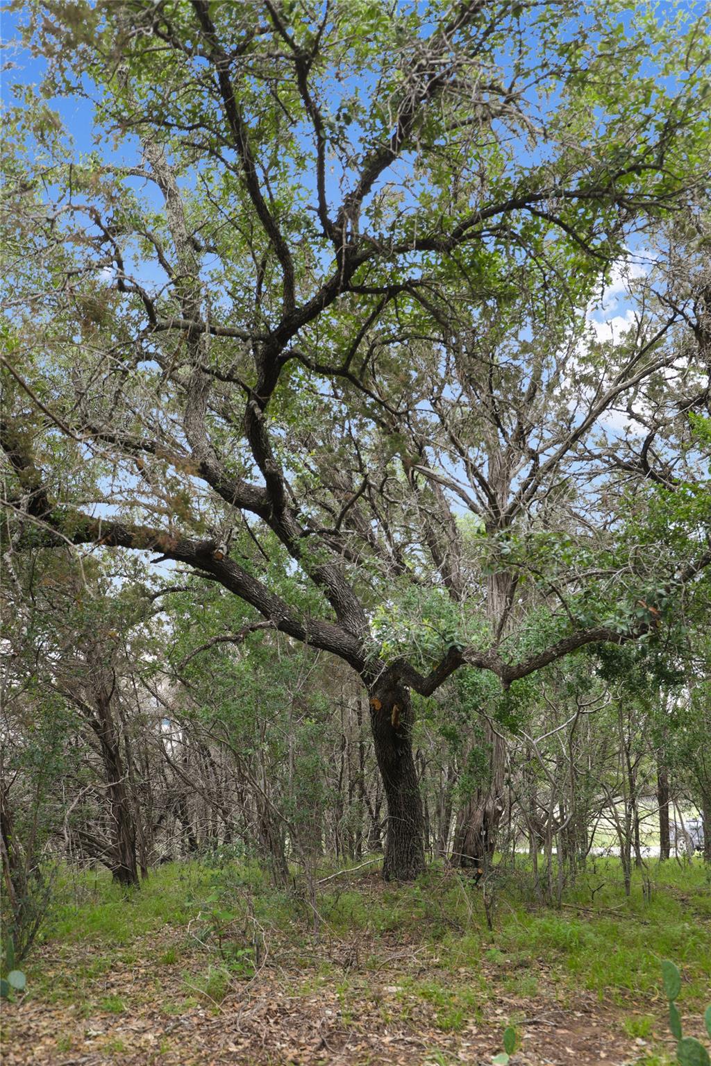 1702 Dove Rd, Lago Vista, TX 78645