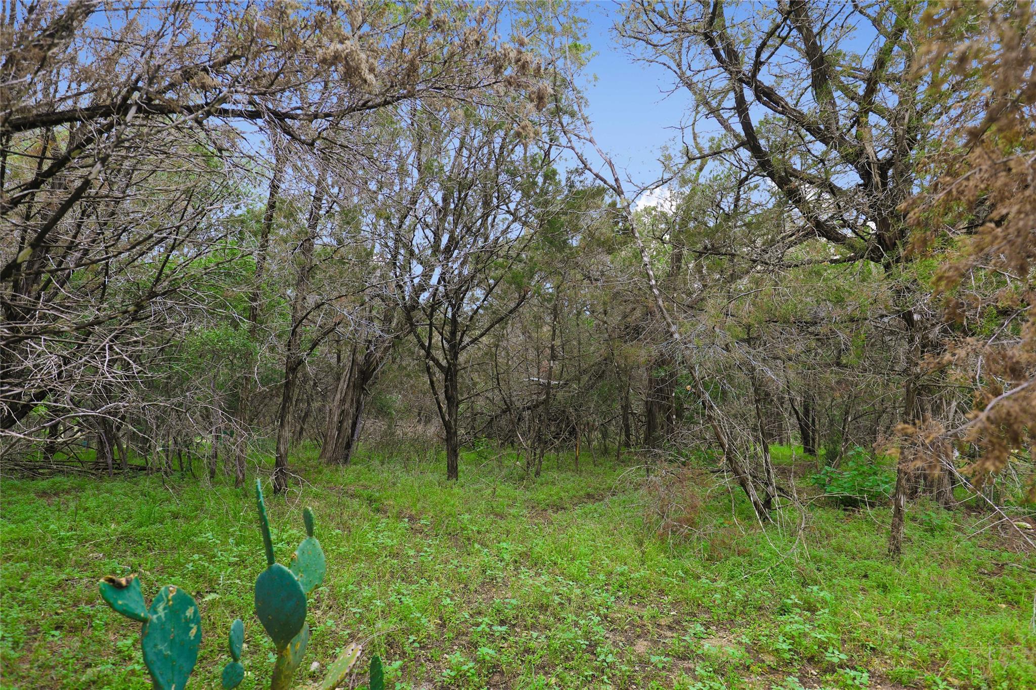 1702 Dove Rd, Lago Vista, TX 78645