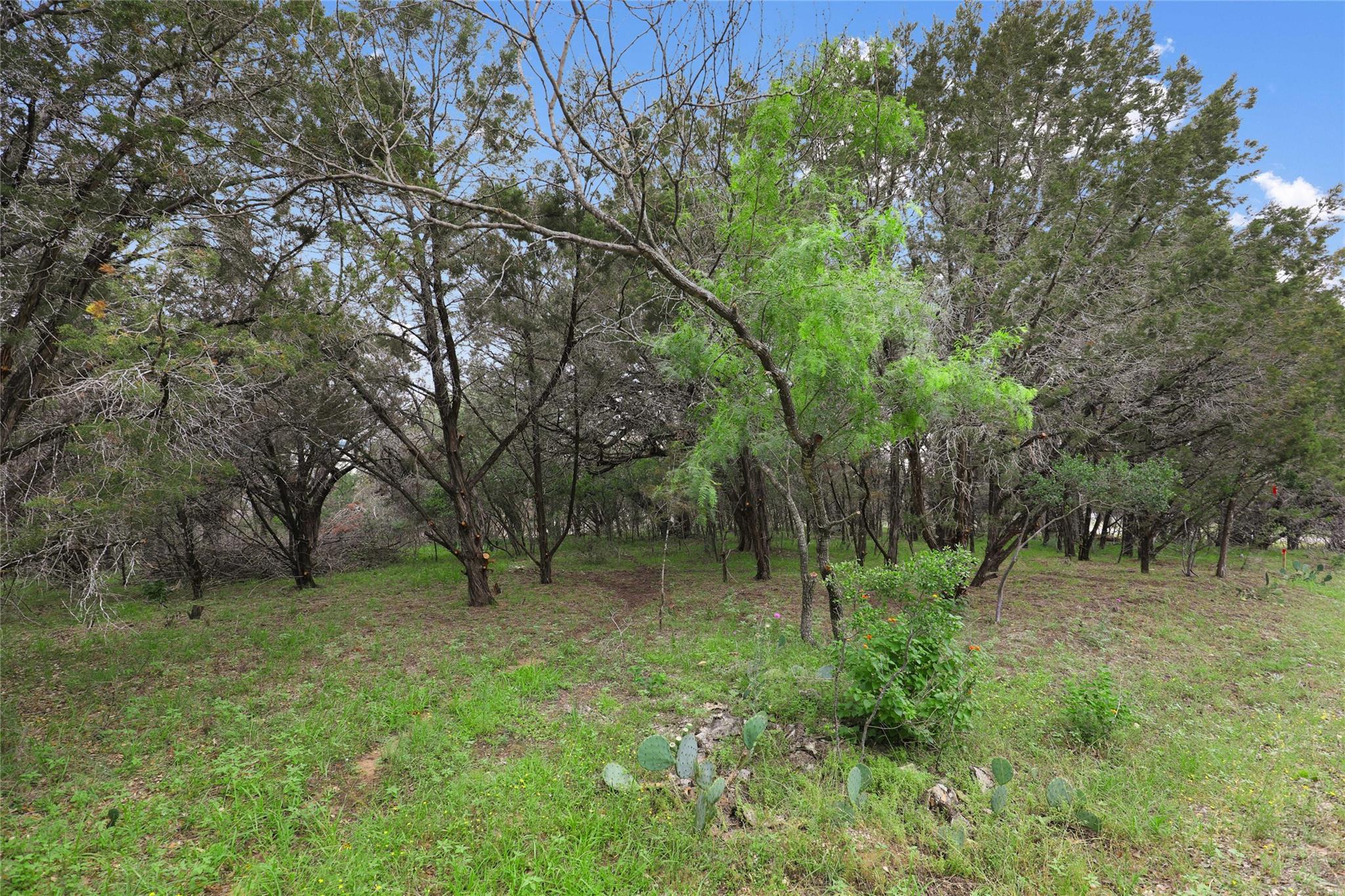 1702 Dove Rd, Lago Vista, TX 78645