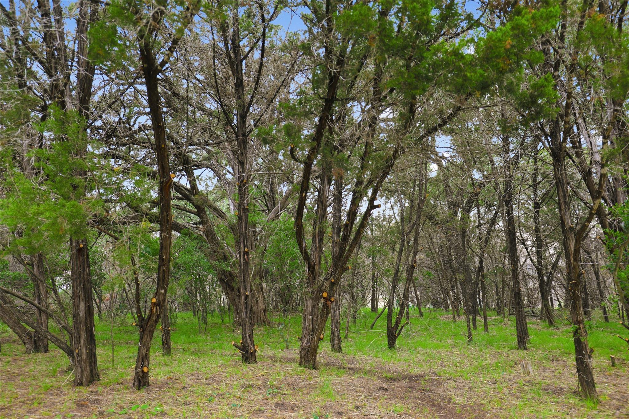 1702 Dove Rd, Lago Vista, TX 78645