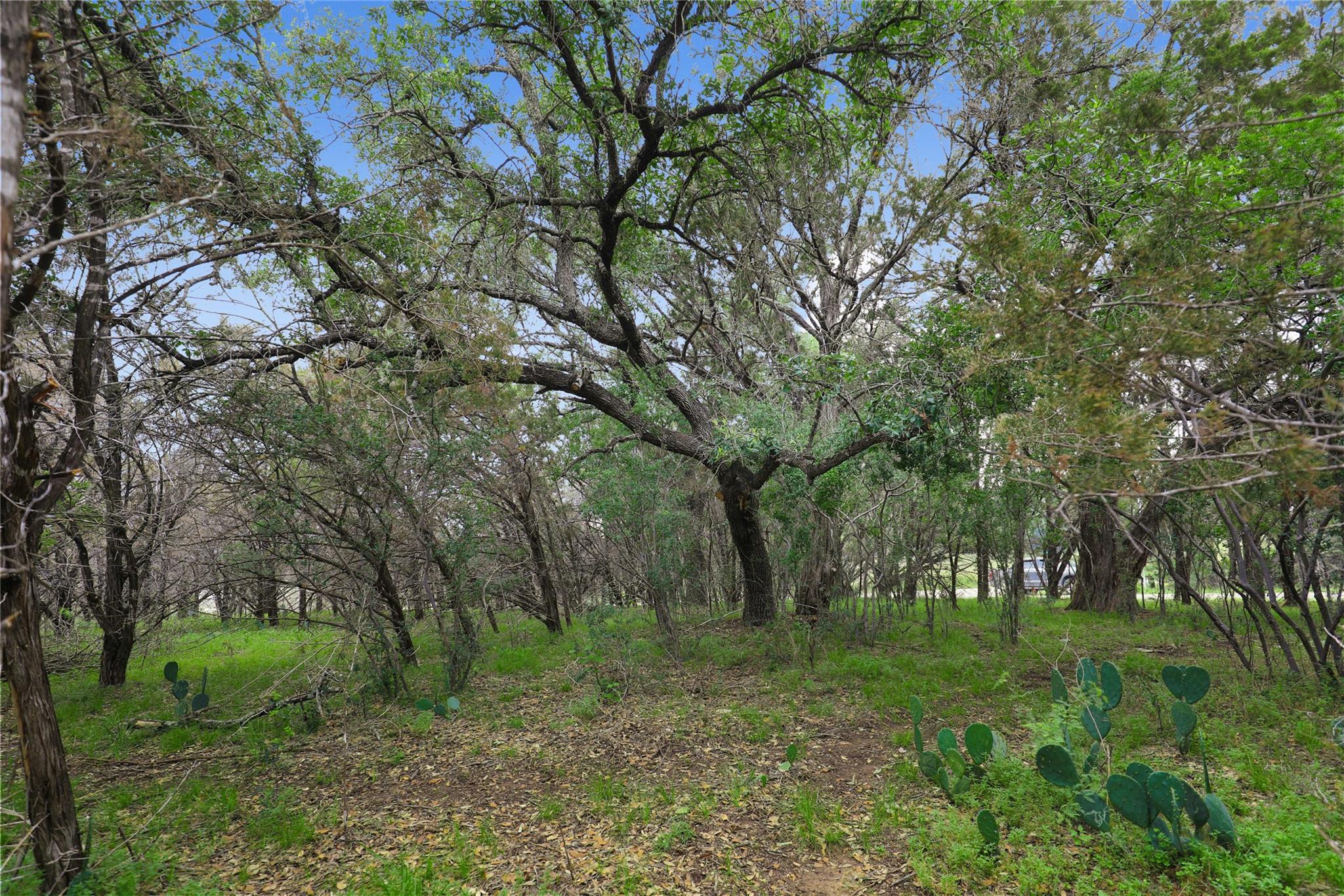 1702 Dove Rd, Lago Vista, TX 78645