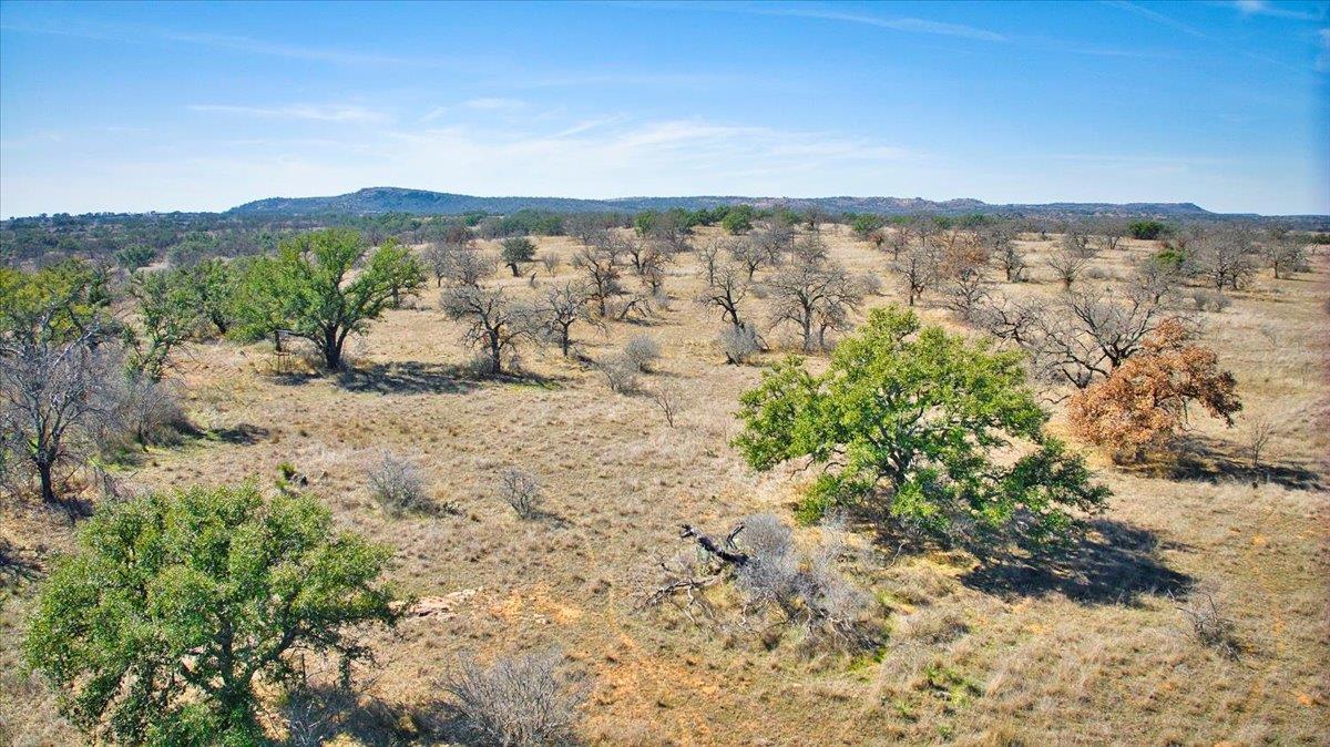 17431 Hickory Grove Dr, Pontotoc, TX 76820