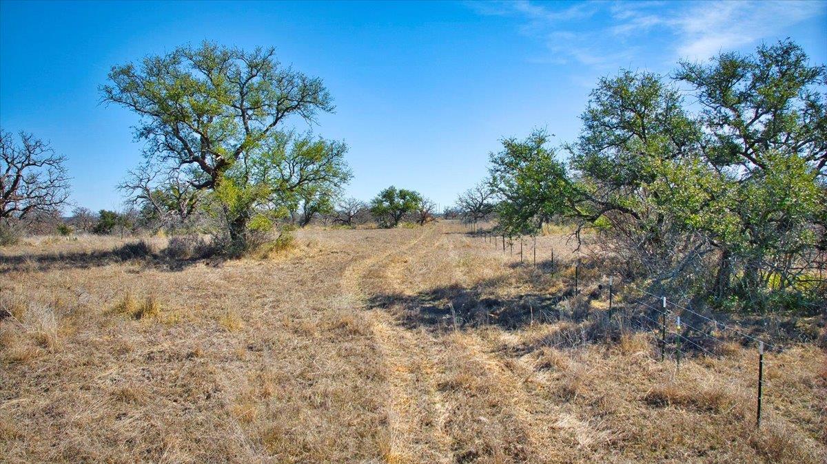 17431 Hickory Grove Dr, Pontotoc, TX 76820