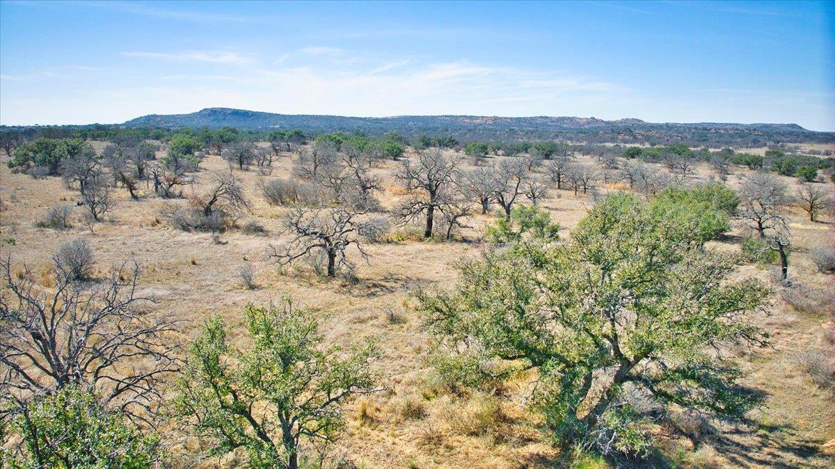 17431 Hickory Grove Dr, Pontotoc, TX 76820