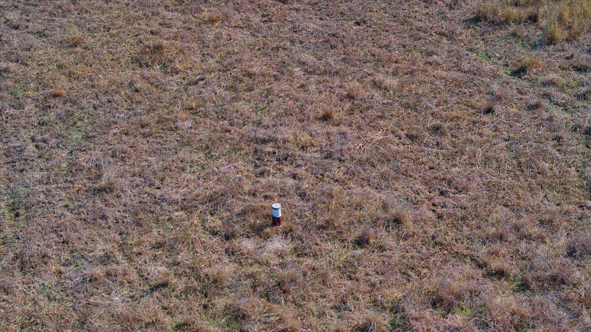 17431 Hickory Grove Dr, Pontotoc, TX 76820