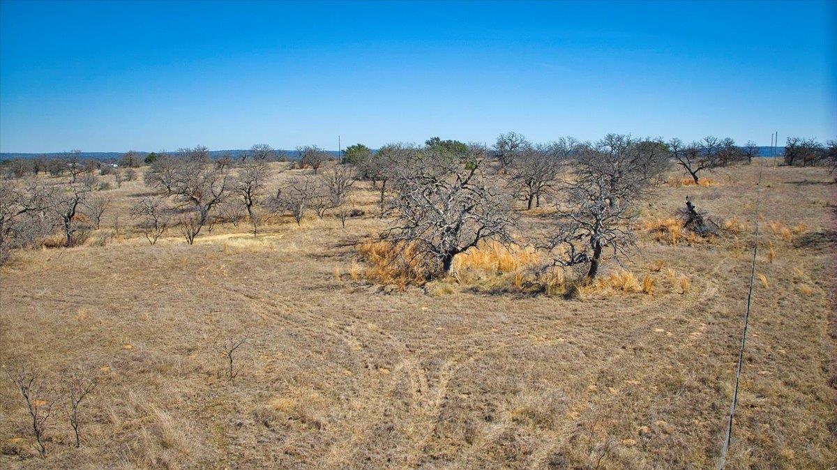 17431 Hickory Grove Dr, Pontotoc, TX 76820